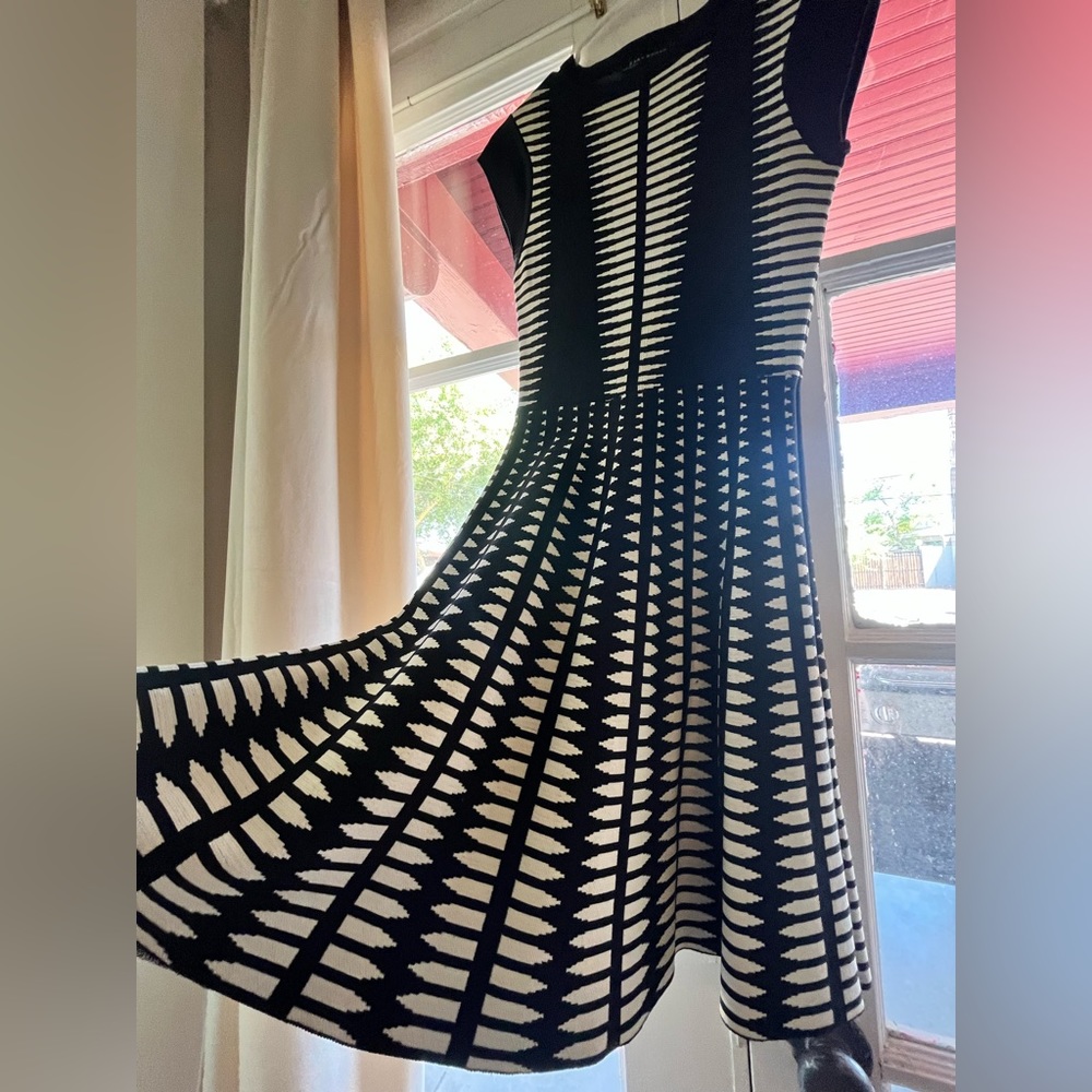 Zara striped skater dress